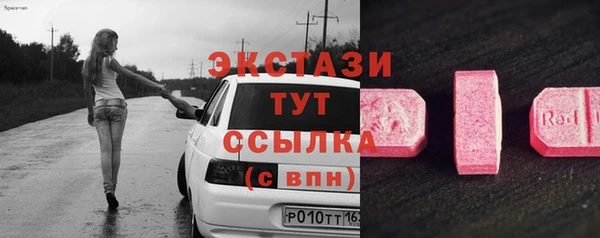 гидра Богородск