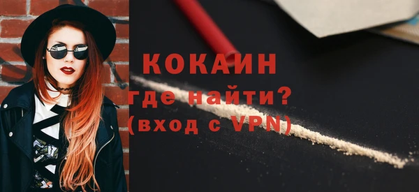 mdpv Богородицк