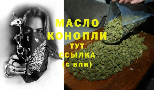 гидра Богородск