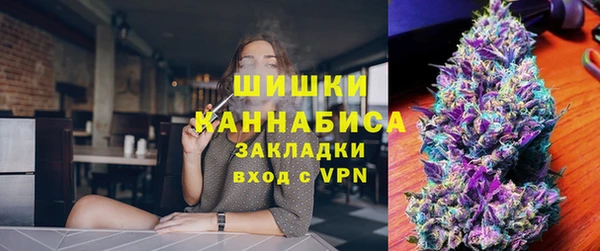 гидра Богородск