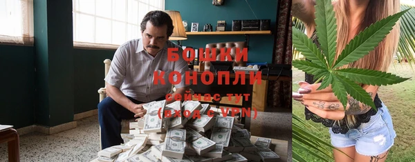 гашиш Богданович