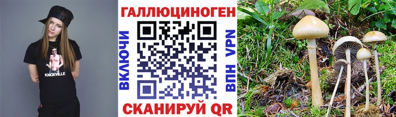 Псилоцибиновые грибы MAGIC MUSHROOMS  маркетплейс телеграм  Высоцк 